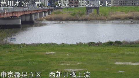 arani2026040613_image