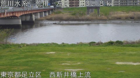 arani2026040614_image