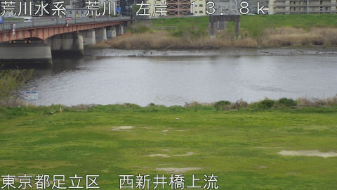 arani2026040615_image