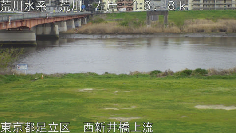 arani2026040616_image