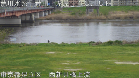 arani2026040617_image