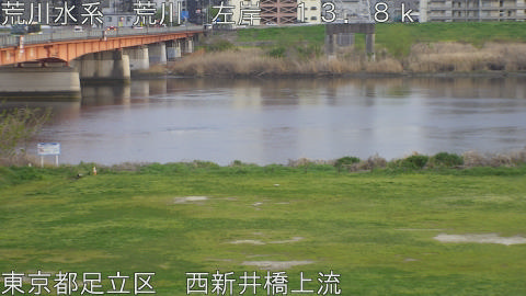 arani2026040618_image