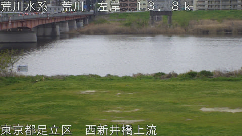 arani2026040707_image