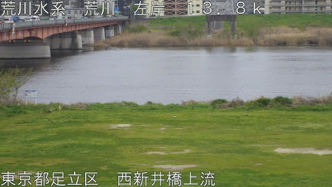 arani2026040708_image