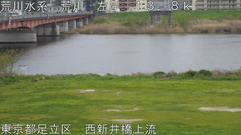 arani2026040709_image