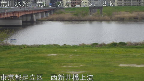 arani2026040710_image