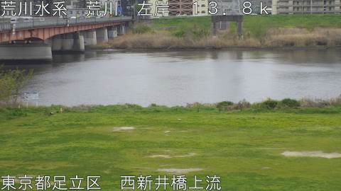 arani2026040711_image