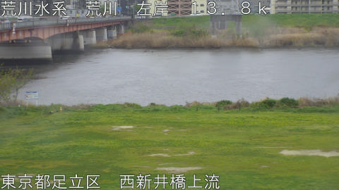 arani2026040712_image