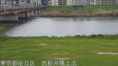 arani2026040713_image