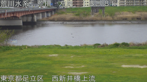 arani2026040714_image