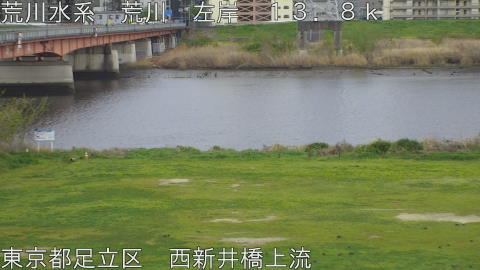 arani2026040715_image