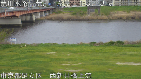 arani2026040716_image