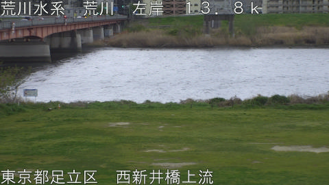 arani2026040717_image