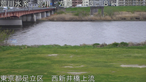 arani2026040718_image