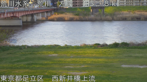 arani2026040806_image