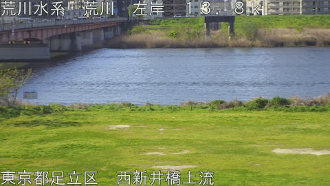 arani2026040808_image