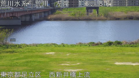 arani2026040809_image