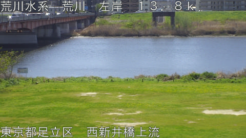 arani2026040811_image