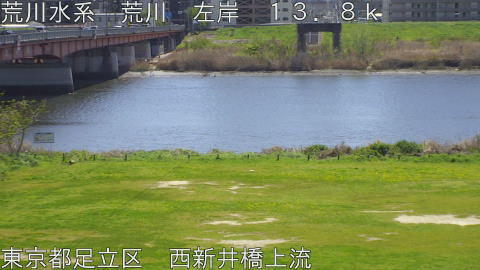 arani2026040812_image