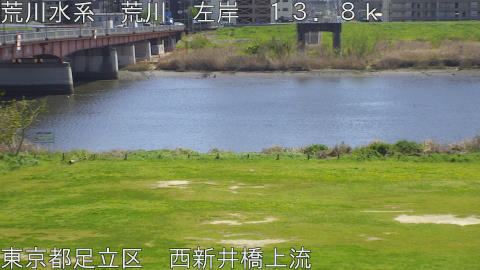 arani2026040813_image