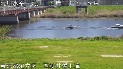 arani2026040814_image