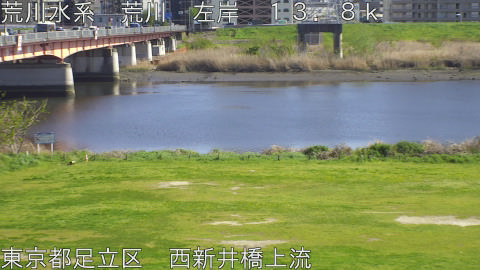 arani2026040815_image