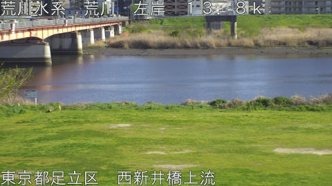 arani2026040816_image