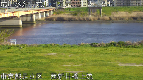 arani2026040817_image