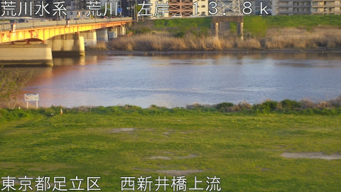 arani2026040818_image