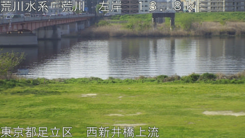 arani2026040908_image