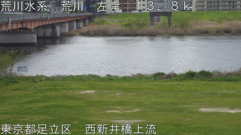 arani2026040911_image