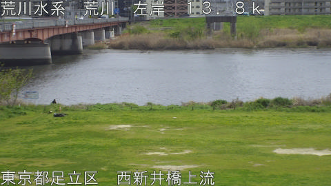 arani2026040913_image