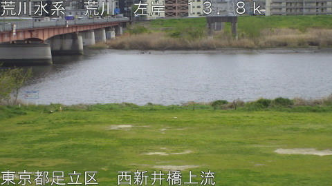 arani2026040914_image