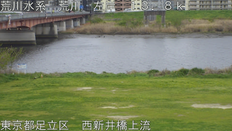 arani2026040915_image