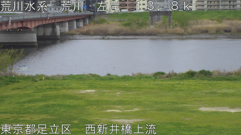 arani2026040916_image