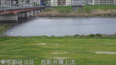 arani2026040917_image