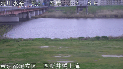 arani2026041006_image