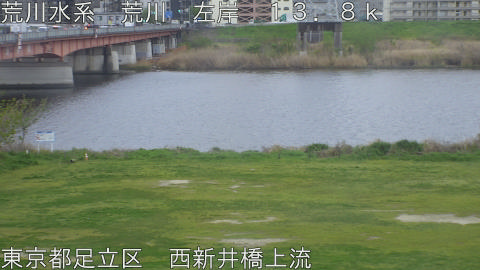 arani2026041007_image