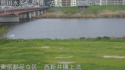 arani2026041008_image