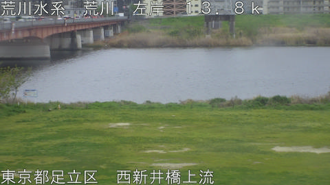 arani2026041009_image