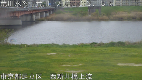 arani2026041011_image