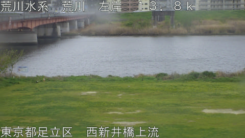 arani2026041012_image