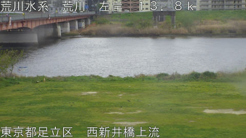 arani2026041013_image