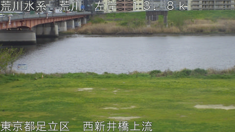 arani2026041014_image