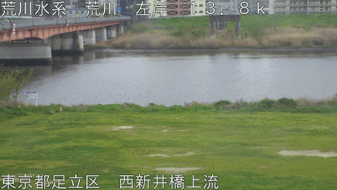 arani2026041015_image