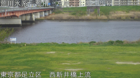 arani2026041017_image