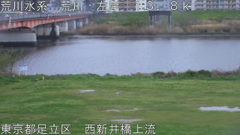 arani2026041018_image