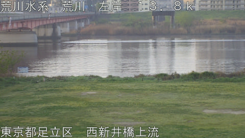 arani2026041106_image