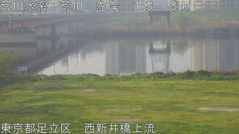 arani2026041107_image