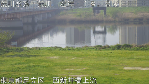 arani2026041108_image